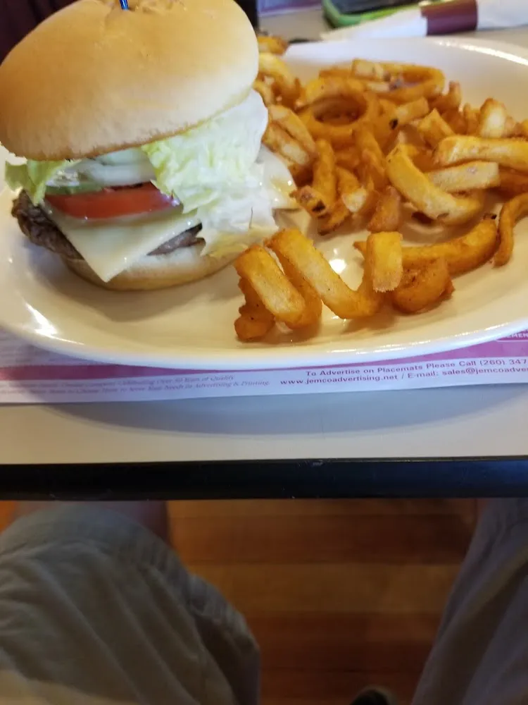 Bison Burger and Fries